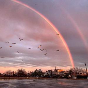 宋佳做爰三级日B
